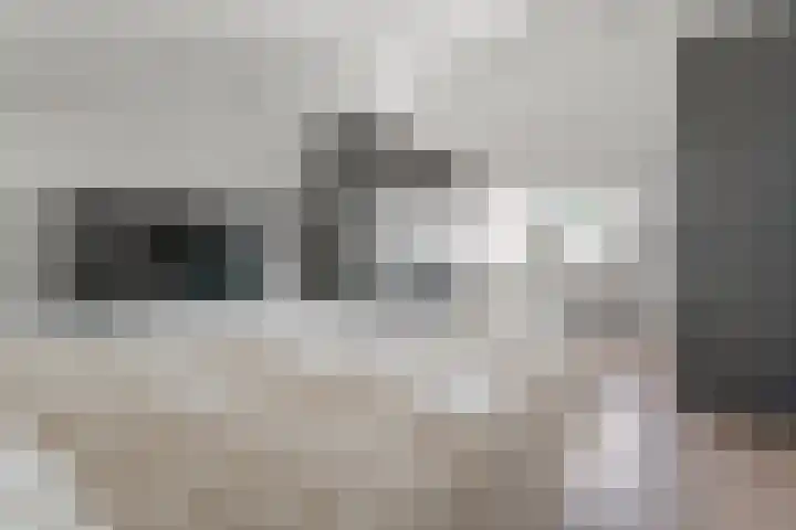Heijtsveld 186 Gemert thumbnail 37
