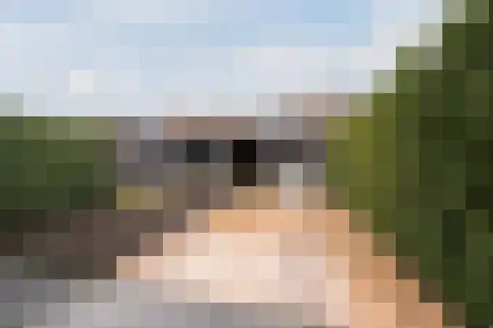 Heijtsveld 186 Gemert thumbnail 40