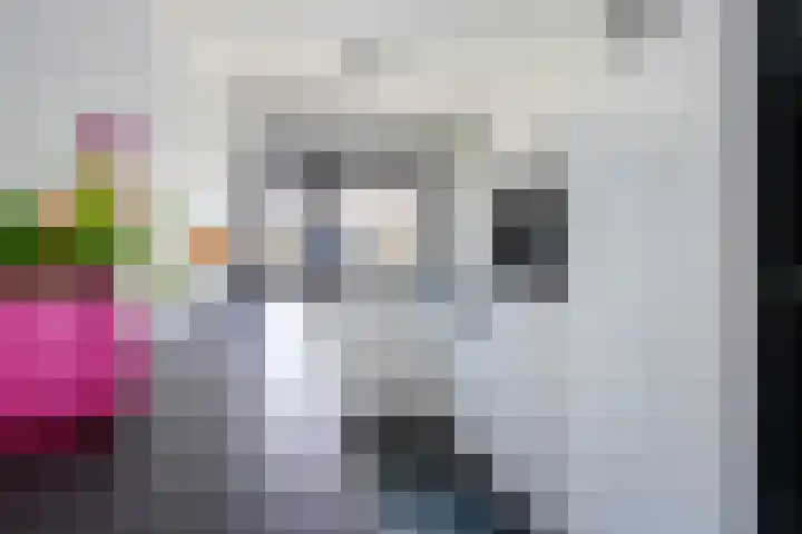 Heijtsveld 186 Gemert thumbnail 43