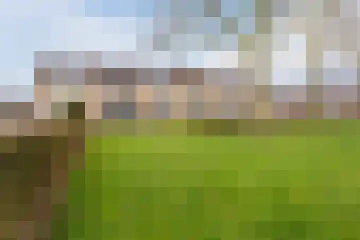 Heijtsveld 186 Gemert thumbnail 44