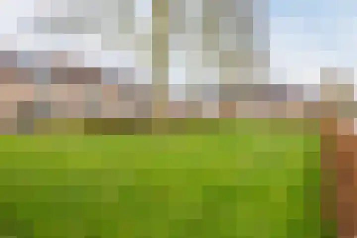 Heijtsveld 186 Gemert thumbnail 45