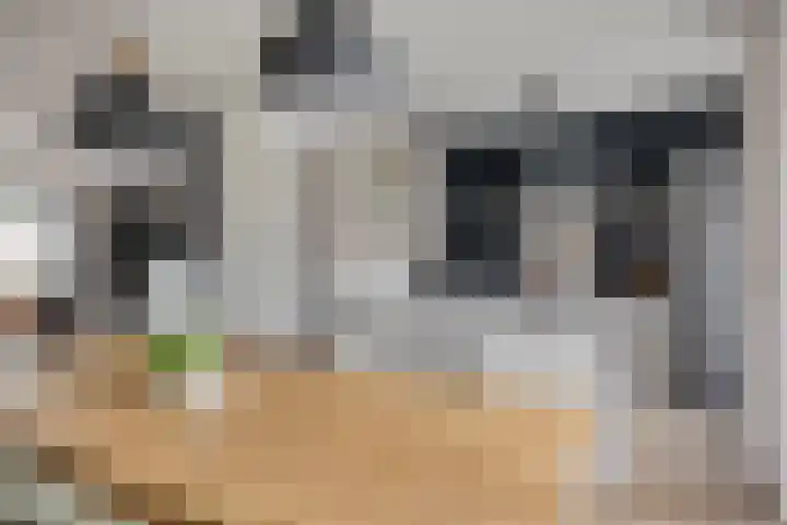 Heijtsveld 50 Gemert thumbnail 15