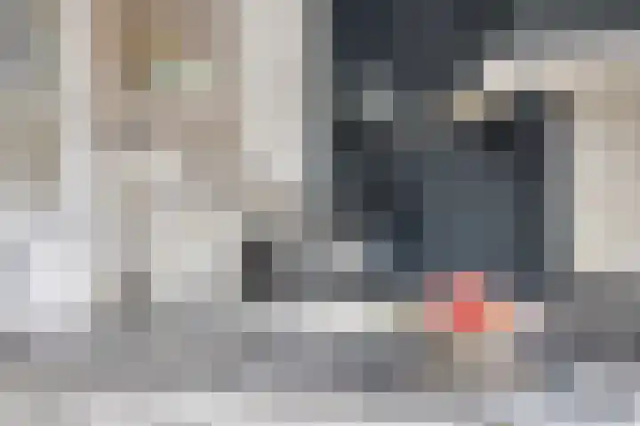 Heijtsveld 50 Gemert thumbnail 16
