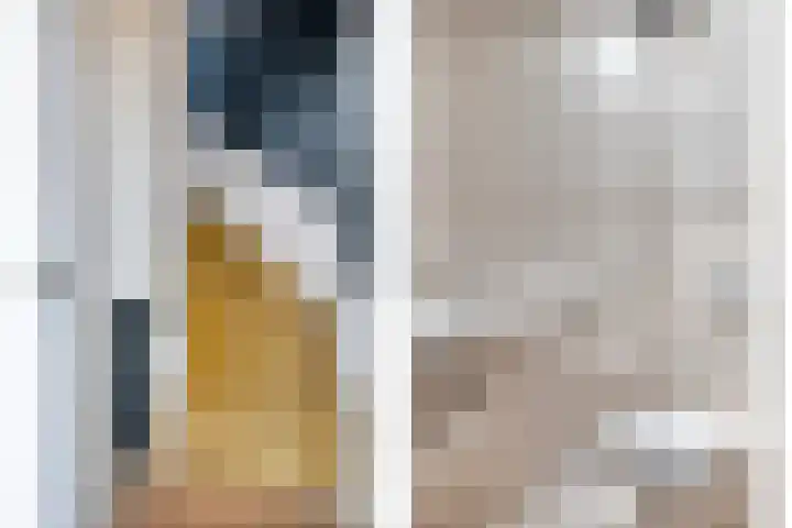 Heijtsveld 50 Gemert thumbnail 18
