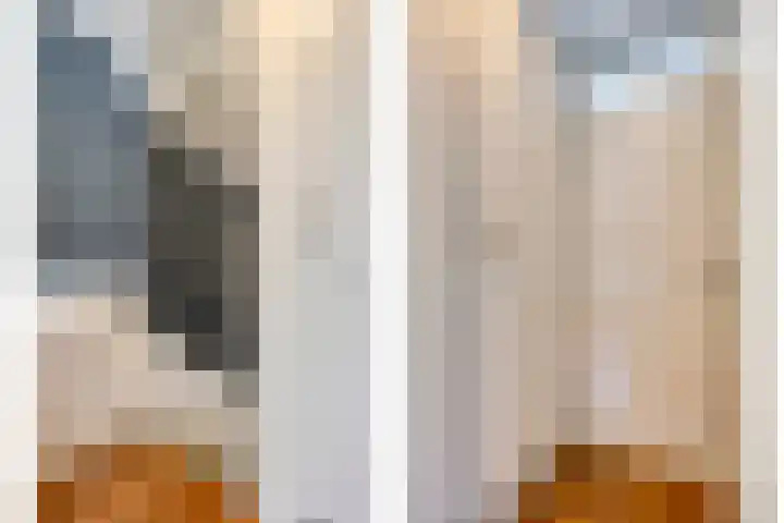Heijtsveld 50 Gemert thumbnail 19