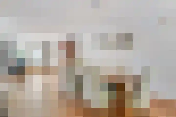 Heijtsveld 50 Gemert thumbnail 28