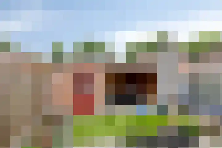 Heijtsveld 50 Gemert thumbnail 33