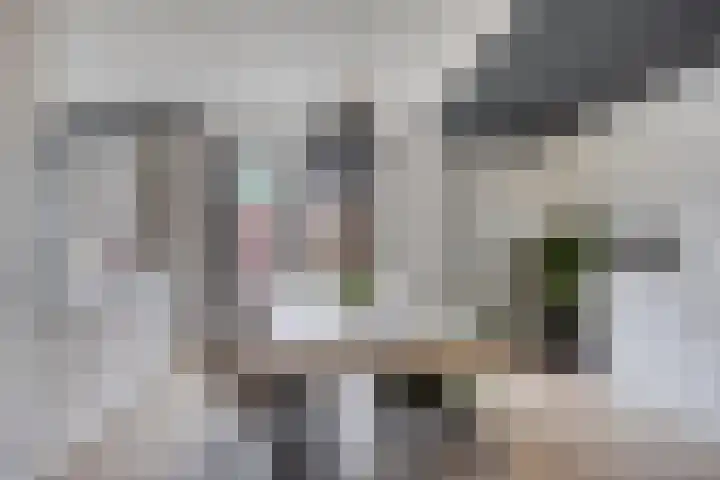 Heijtsveld 50 Gemert thumbnail 4
