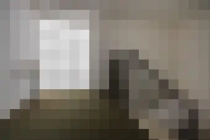 Heijtsveld 50 Gemert thumbnail 44