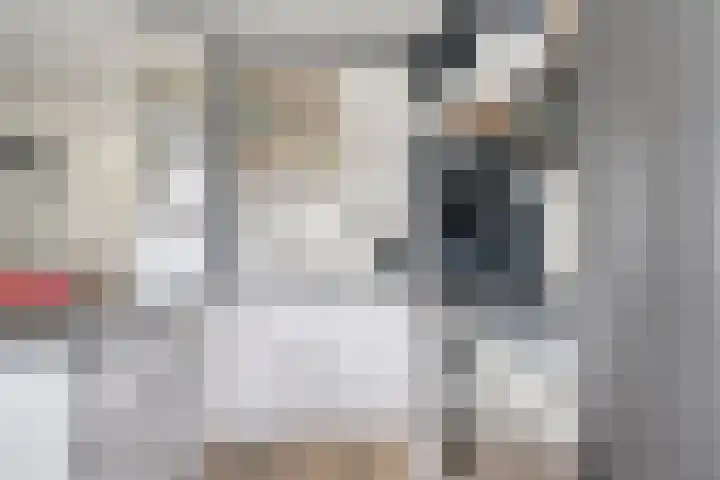 Heijtsveld 50 Gemert thumbnail 5