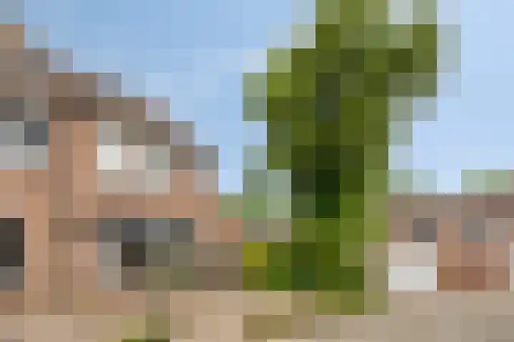 Heijtsveld 50 Gemert thumbnail 7