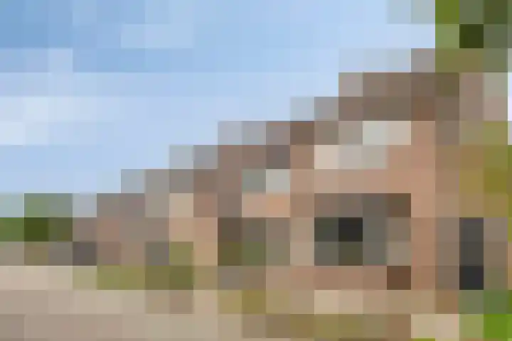 Heijtsveld 50 Gemert thumbnail 8
