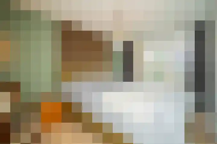Heijtsveld 66 Gemert thumbnail 16