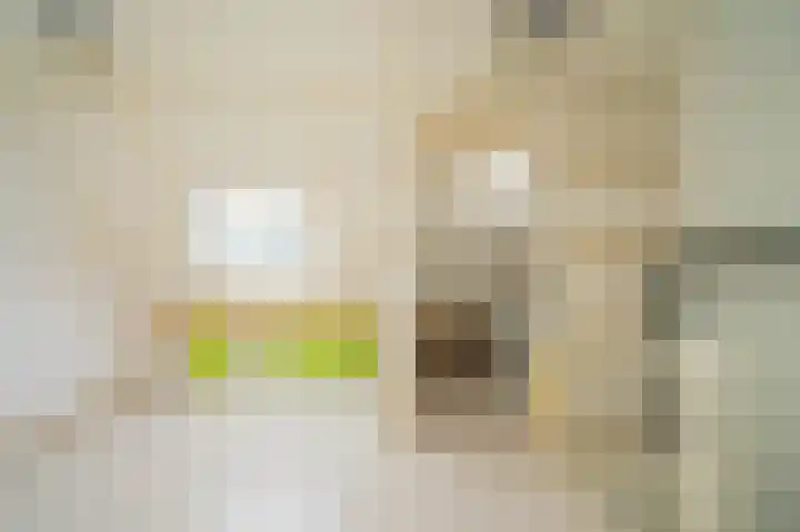 Heijtsveld 66 Gemert thumbnail 26