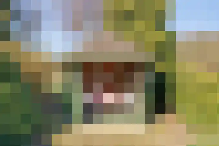 Heikampweg 3 Kessel thumbnail 26