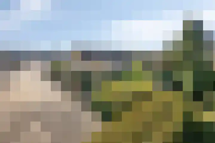 Heikampweg 3 Kessel thumbnail 31