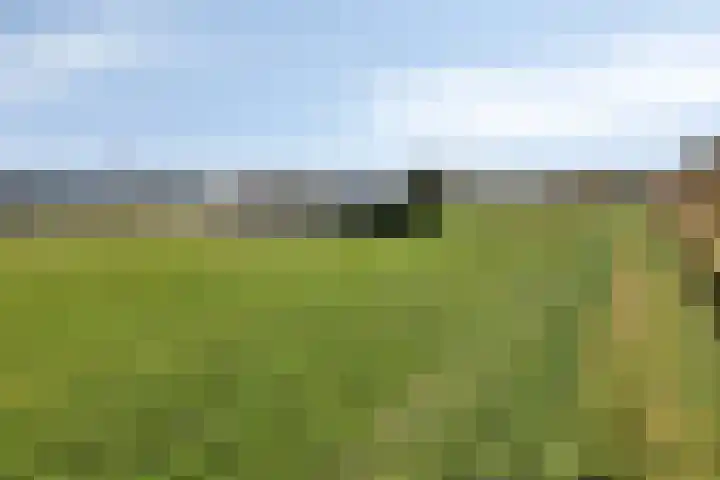 Heikampweg 3 Kessel thumbnail 44