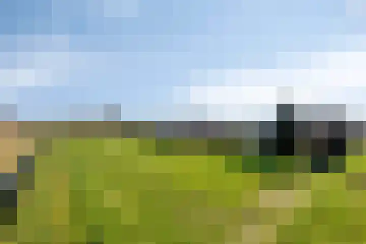 Heikampweg 3 Kessel thumbnail 46