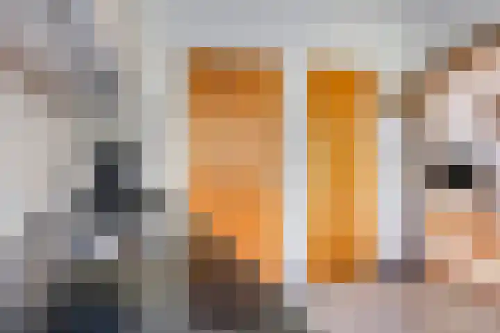 Heikampweg 3 Kessel thumbnail 7