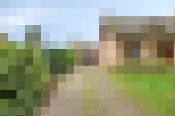 Heikant 28 Gastel thumbnail 19