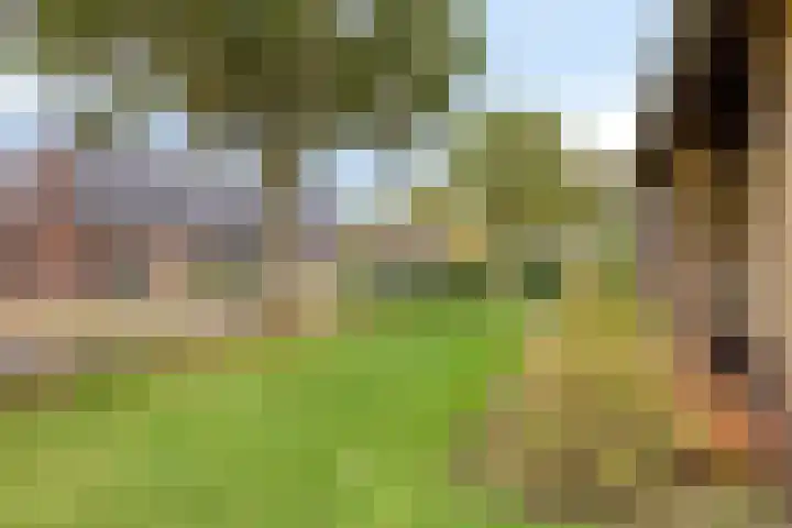 Heikant 28 Gastel thumbnail 21