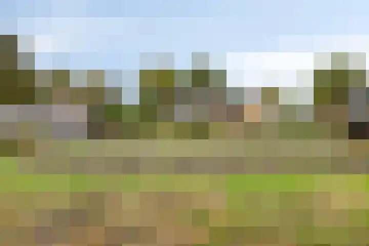 Heikant 28 Gastel thumbnail 25