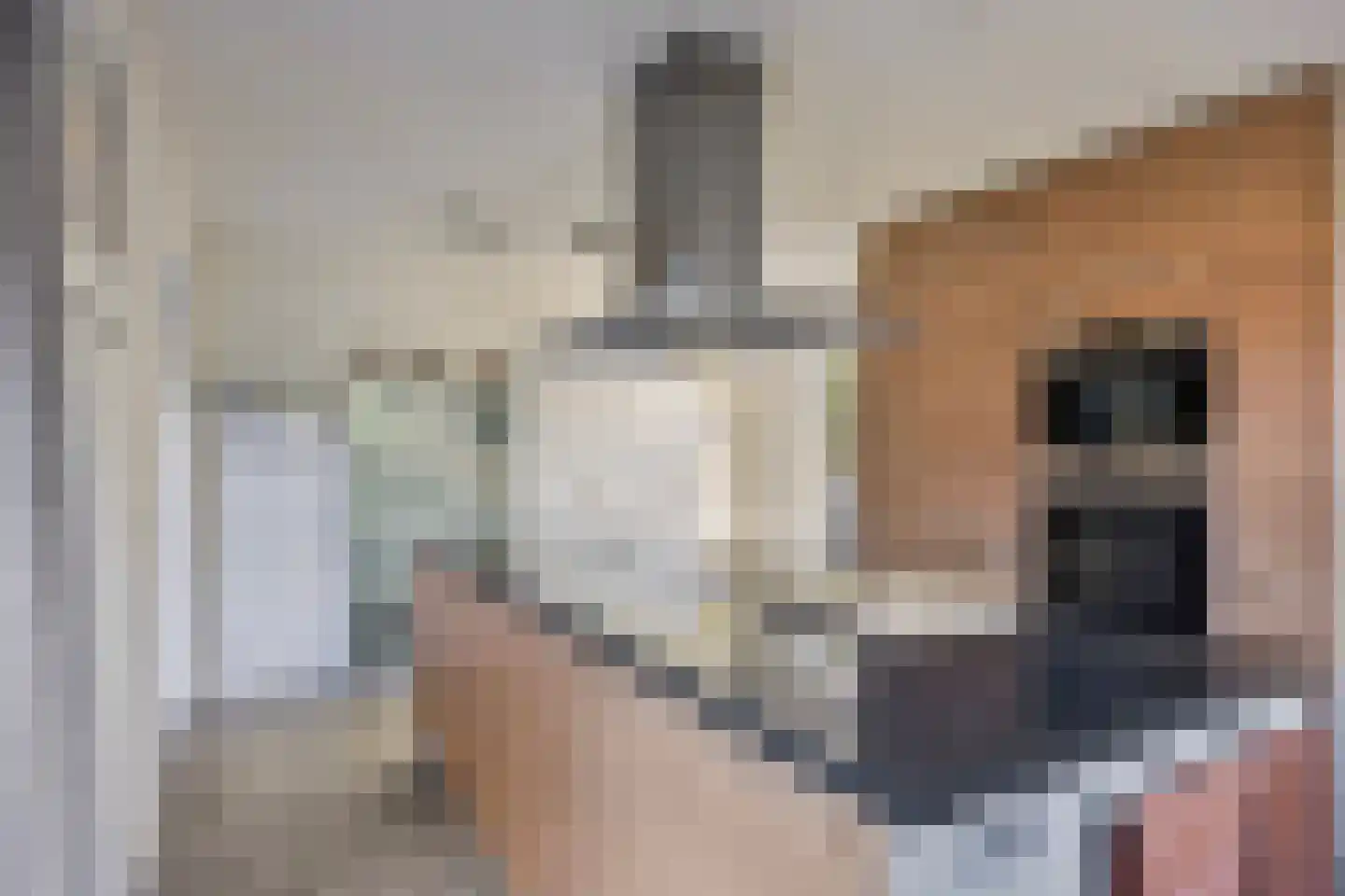 Heikant 5 Kaatsheuvel thumbnail 11