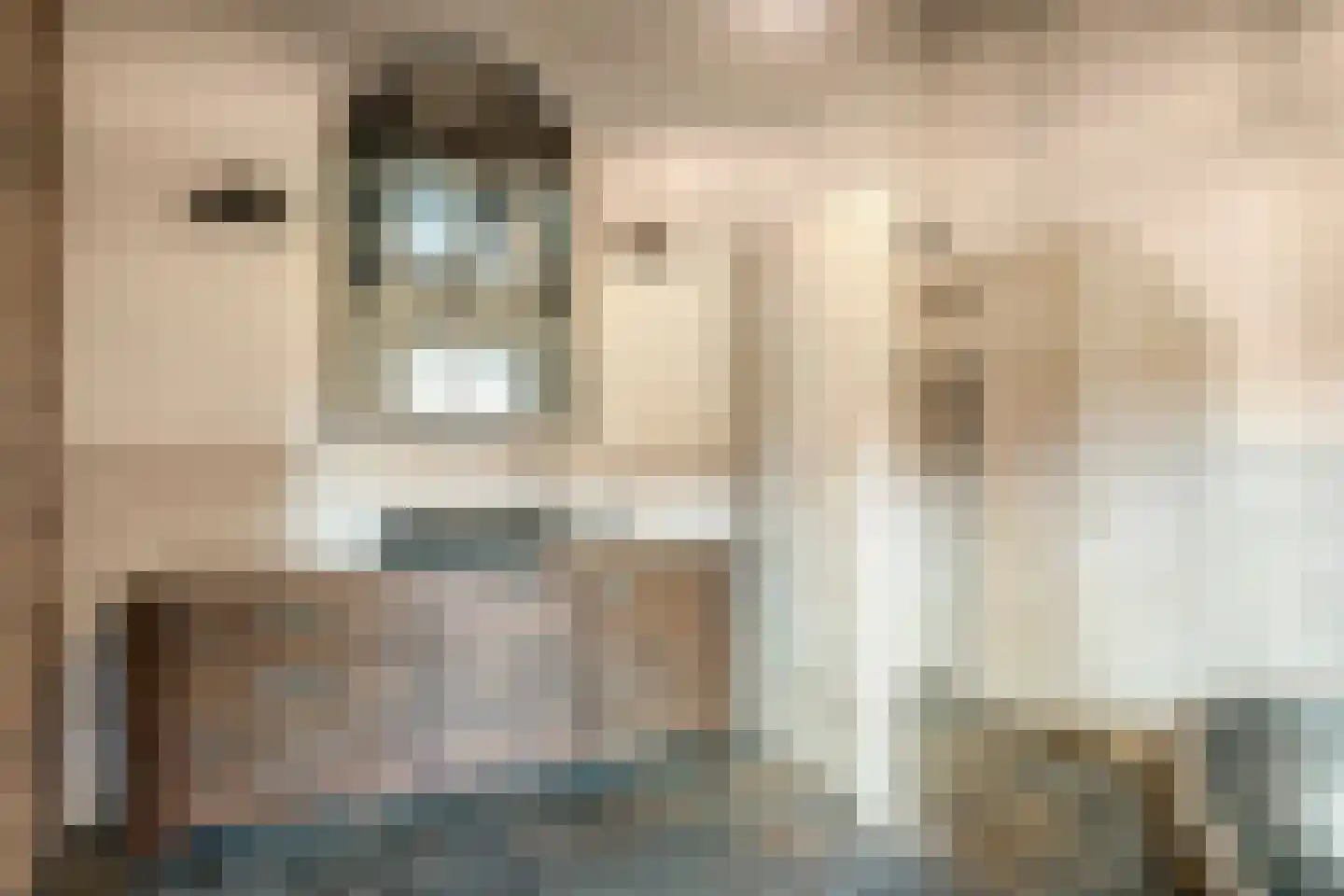 Heikantstraat 38 Someren thumbnail 36