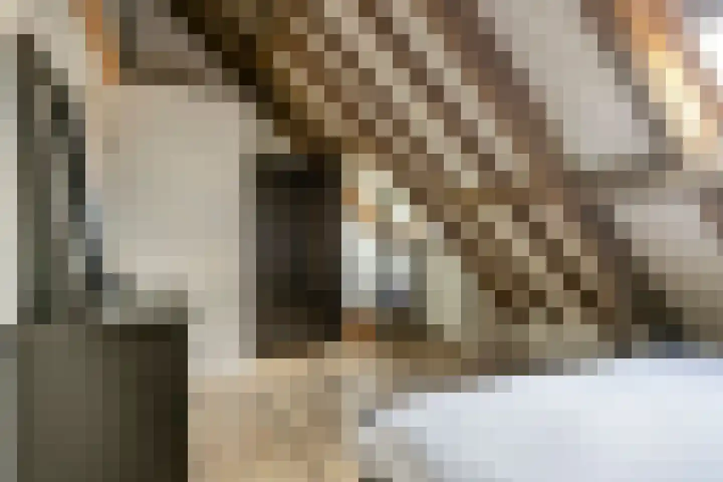 Heikantstraat 38 Someren thumbnail 39