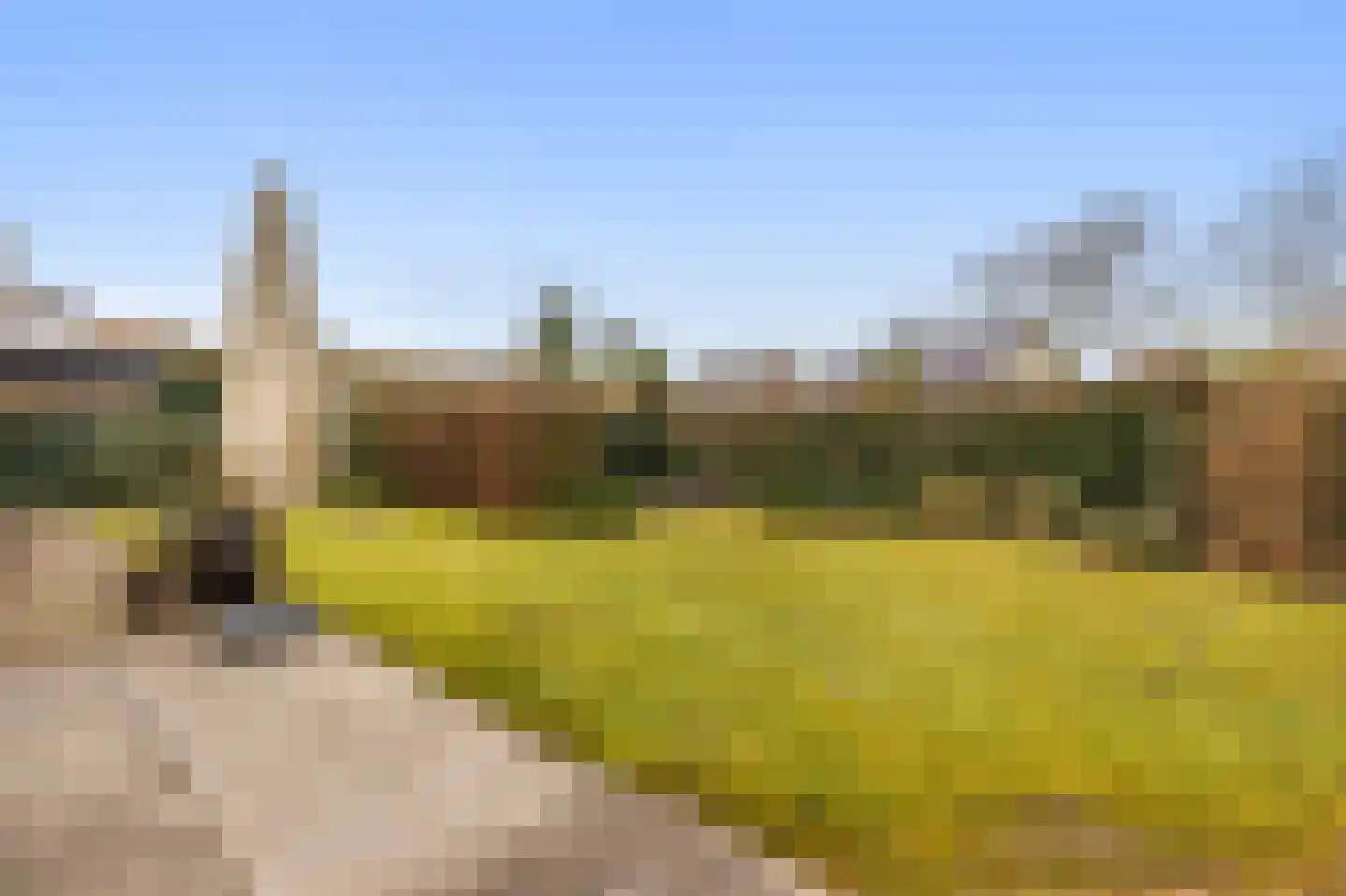 Heike 47 Veldhoven thumbnail 66