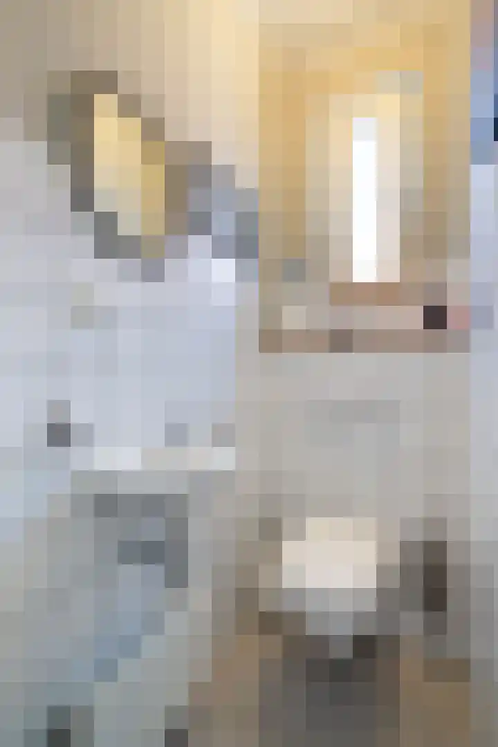 Heikempweg 1 Weert thumbnail 21