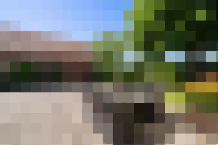 Heikempweg 1 Weert thumbnail 37