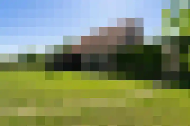 Heikempweg 1 Weert thumbnail 45