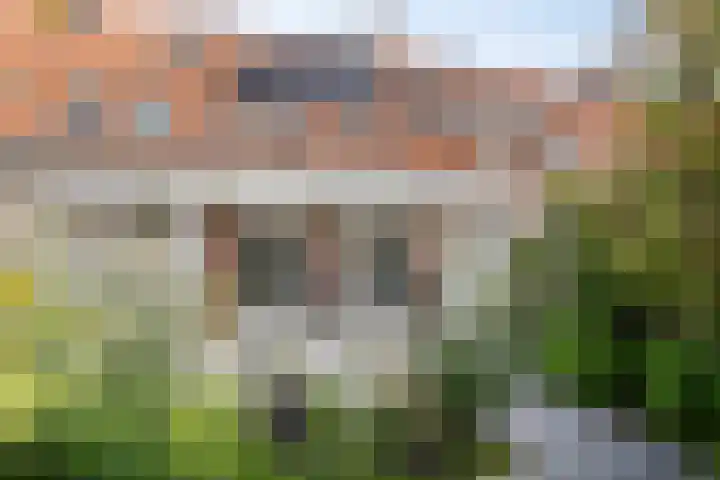 Heilbeemden 8 Helmond thumbnail 23