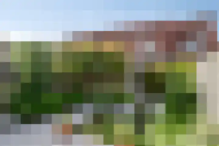 Heilbeemden 8 Helmond thumbnail 27