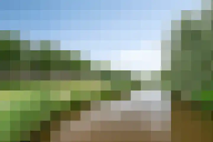 Heilbeemden 8 Helmond thumbnail 34