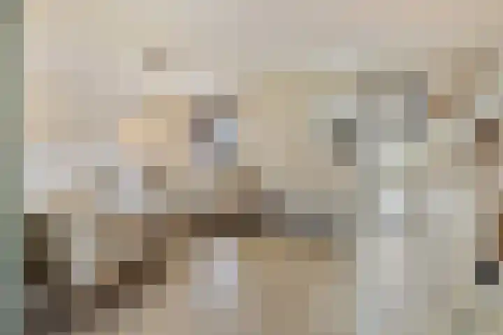 Heilige Eik 33 Heesch thumbnail 12