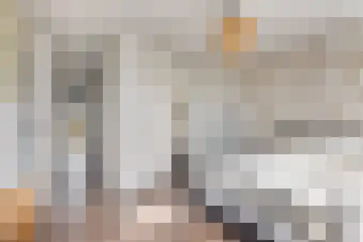 Heilige Eik 33 Heesch thumbnail 23