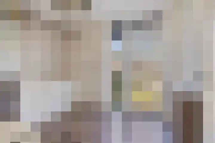 Heilige Eik 33 Heesch thumbnail 25