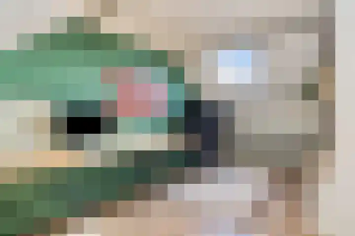 Heilige Eik 33 Heesch thumbnail 32