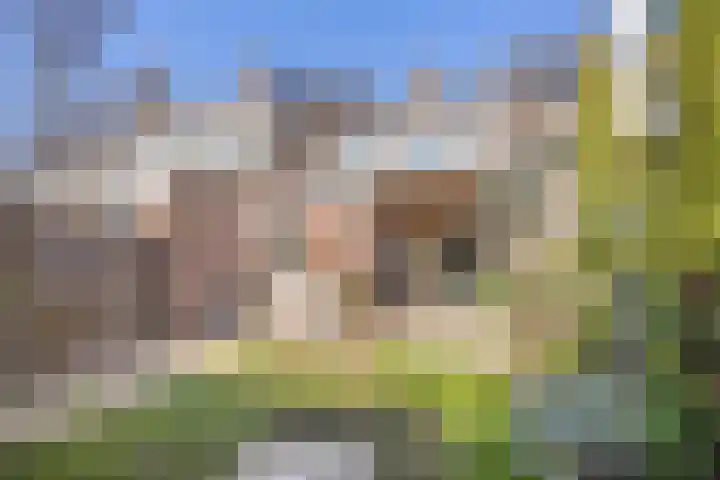 Heilige Eik 33 Heesch thumbnail 34
