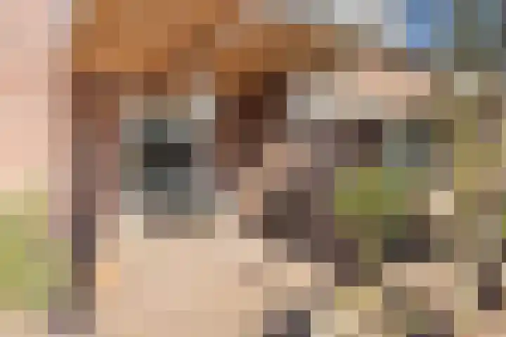 Heilige Eik 33 Heesch thumbnail 36
