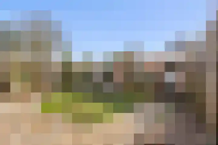 Heilige Eik 33 Heesch thumbnail 39