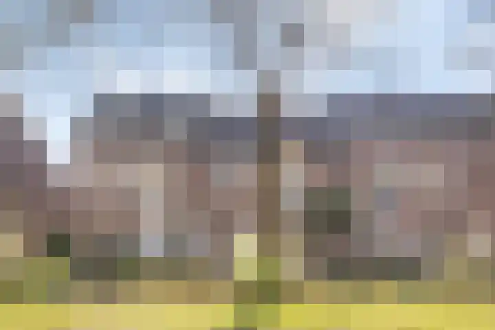 Heilige Eik 33 Heesch thumbnail 46