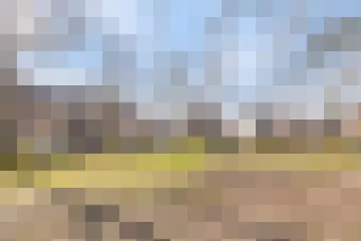 Heilige Eik 33 Heesch thumbnail 47