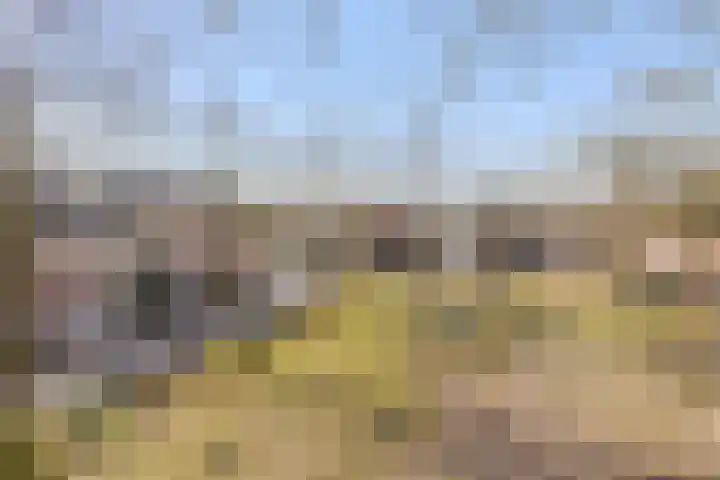 Heilige Eik 33 Heesch thumbnail 48