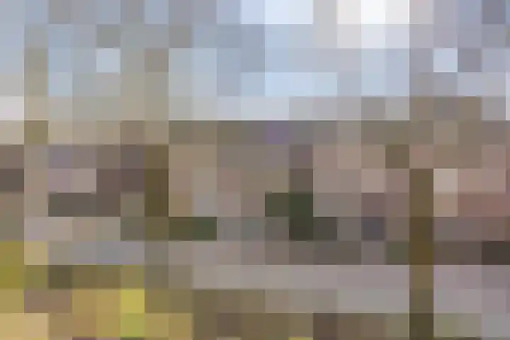 Heilige Eik 33 Heesch thumbnail 49