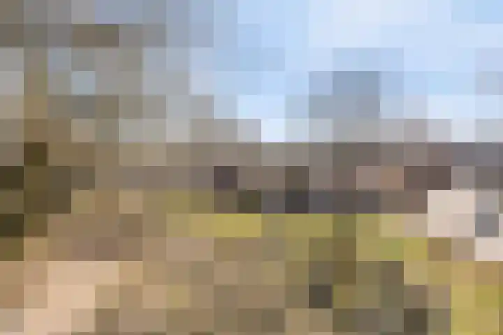 Heilige Eik 33 Heesch thumbnail 50