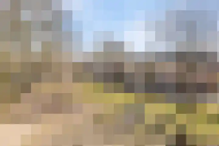Heilige Eik 33 Heesch thumbnail 51