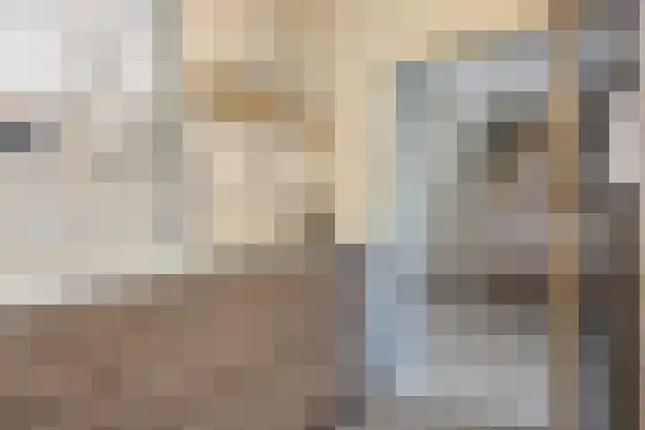 Heilige Eik 33 Heesch thumbnail 8